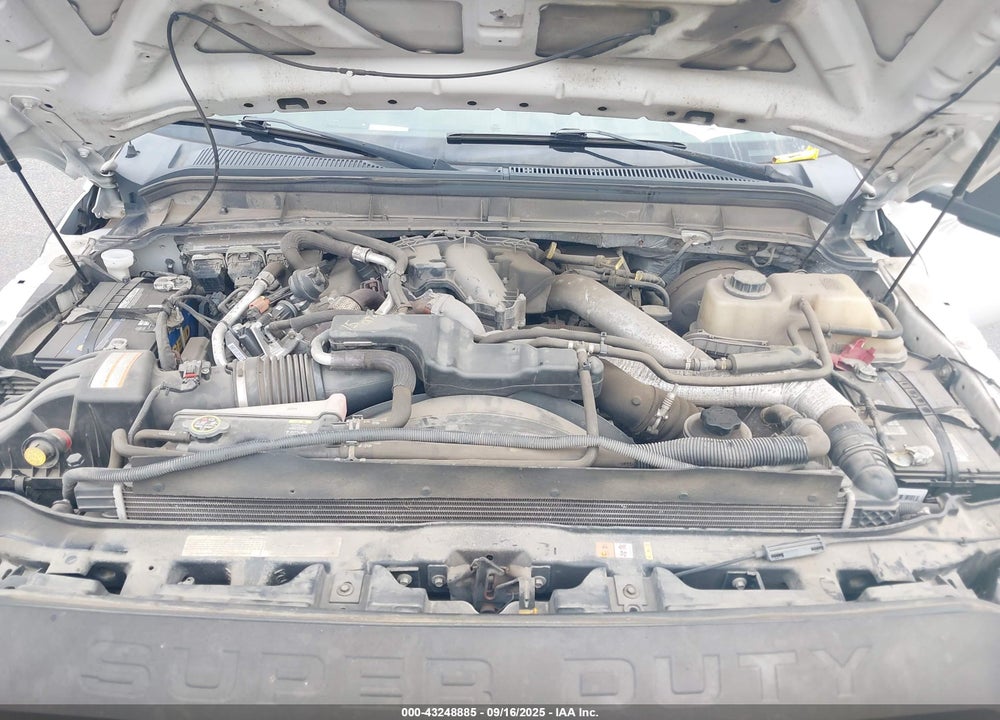 2011 FORD F-250 XL VIN: 1FT7X2BT8BEA57663
