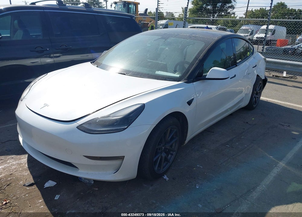 2021 TESLA MODEL 3 VIN: 5YJ3E1EB7MF981367