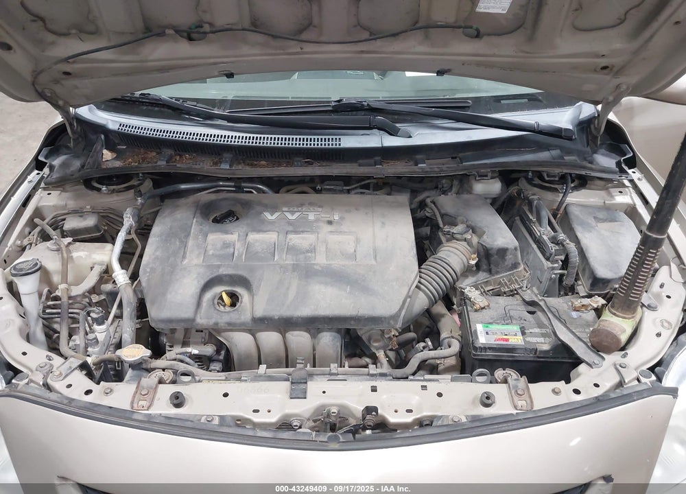 2010 TOYOTA COROLLA LE VIN: 2T1BU4EE9AC426687