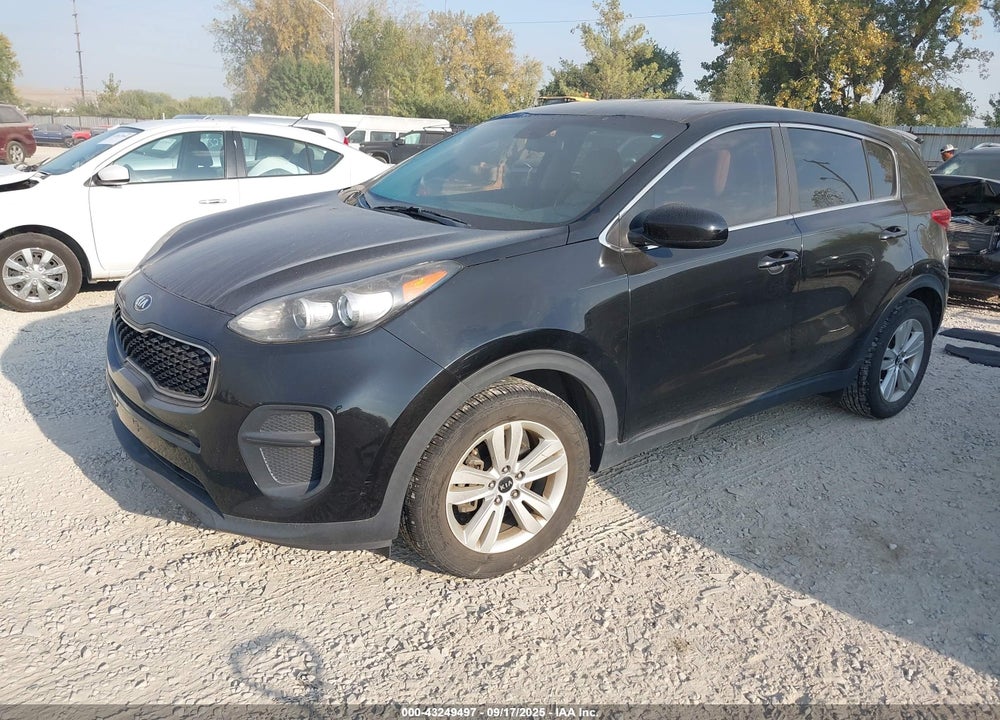 2017 KIA SPORTAGE LX VIN: KNDPM3AC1H7134922
