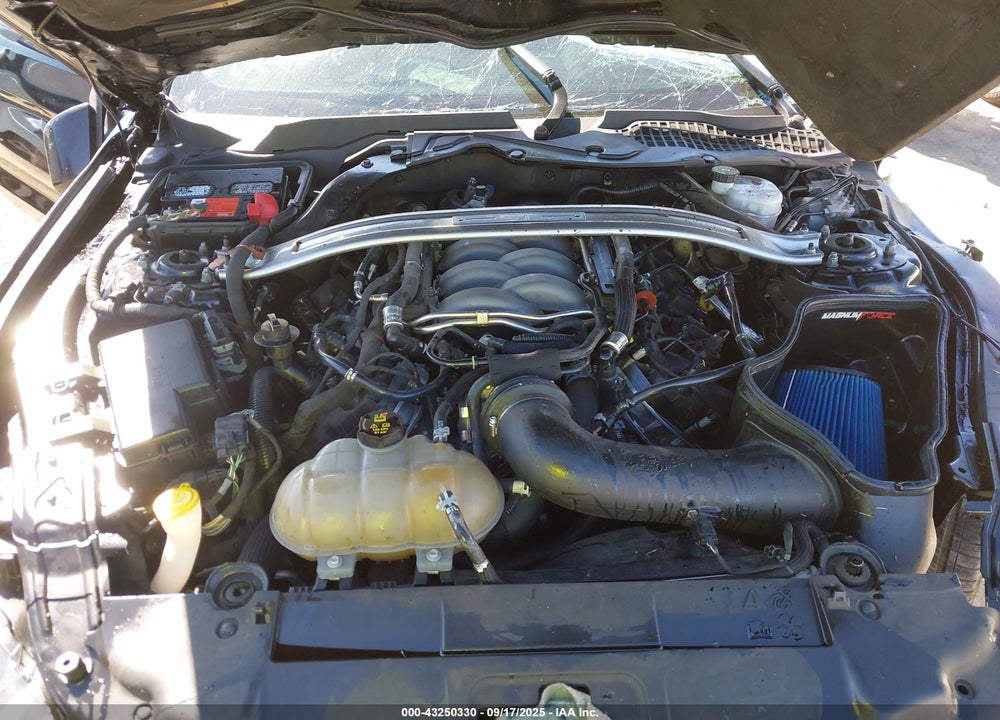 2019 FORD MUSTANG VIN: 1FA6P8CF5K5135894