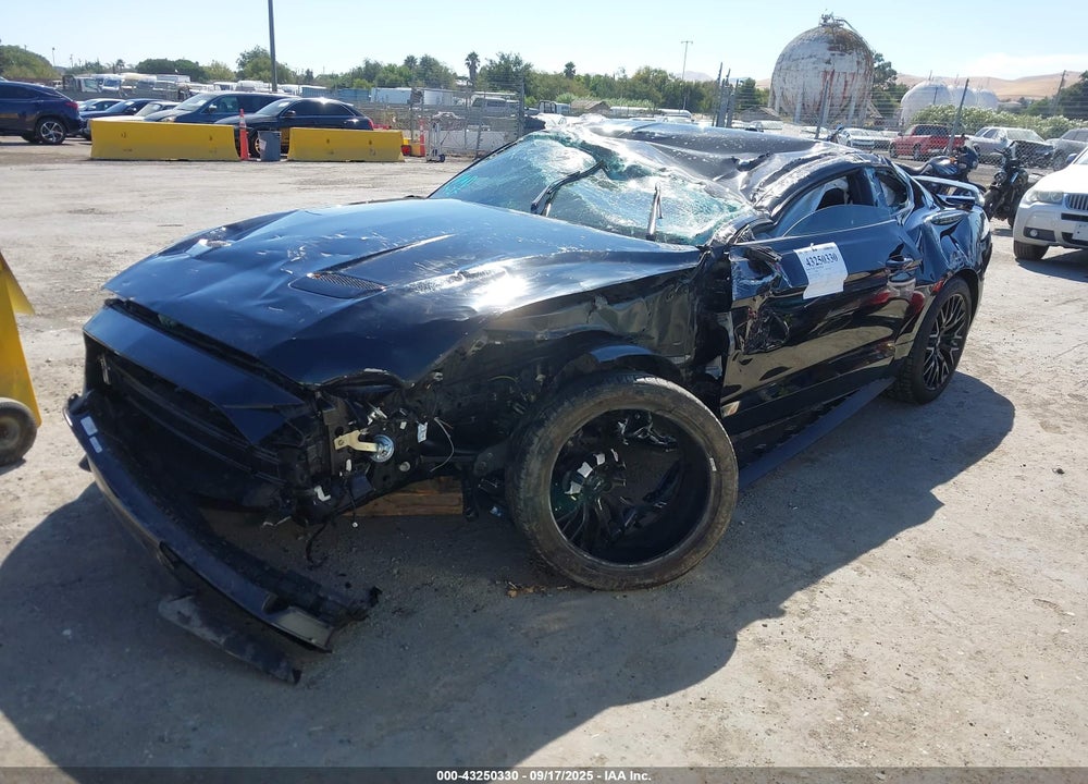 2019 FORD MUSTANG VIN: 1FA6P8CF5K5135894