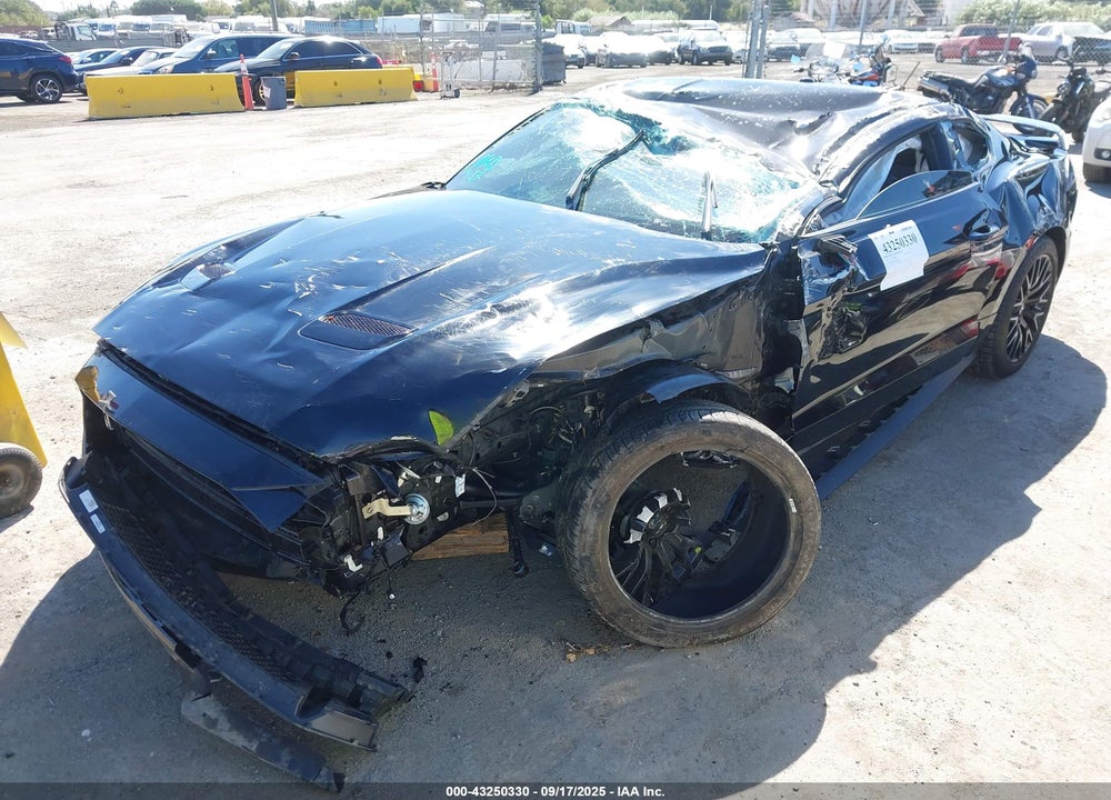 2019 FORD MUSTANG VIN: 1FA6P8CF5K5135894