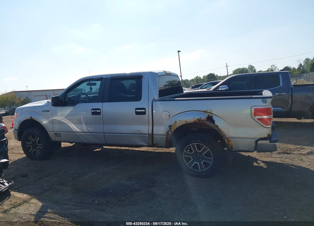 2013 FORD F-150 XLT VIN: 1FTFW1EF7DKG00780