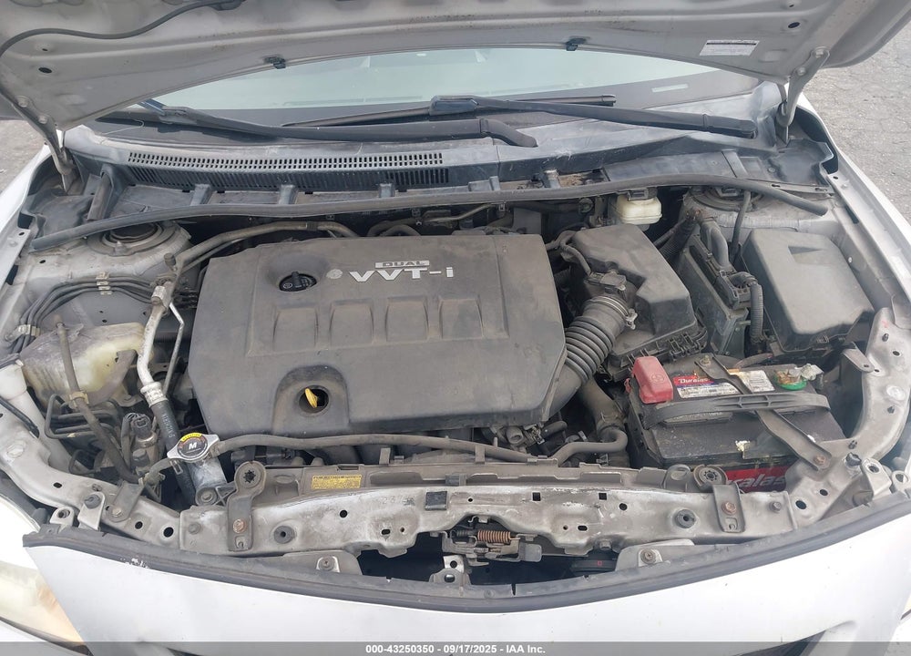 2010 TOYOTA COROLLA LE VIN: 1NXBU4EE6AZ374496