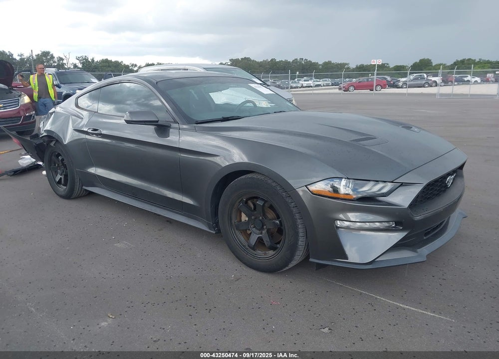 2019 FORD MUSTANG ECOBOOST VIN: 1FA6P8TH8K5166963