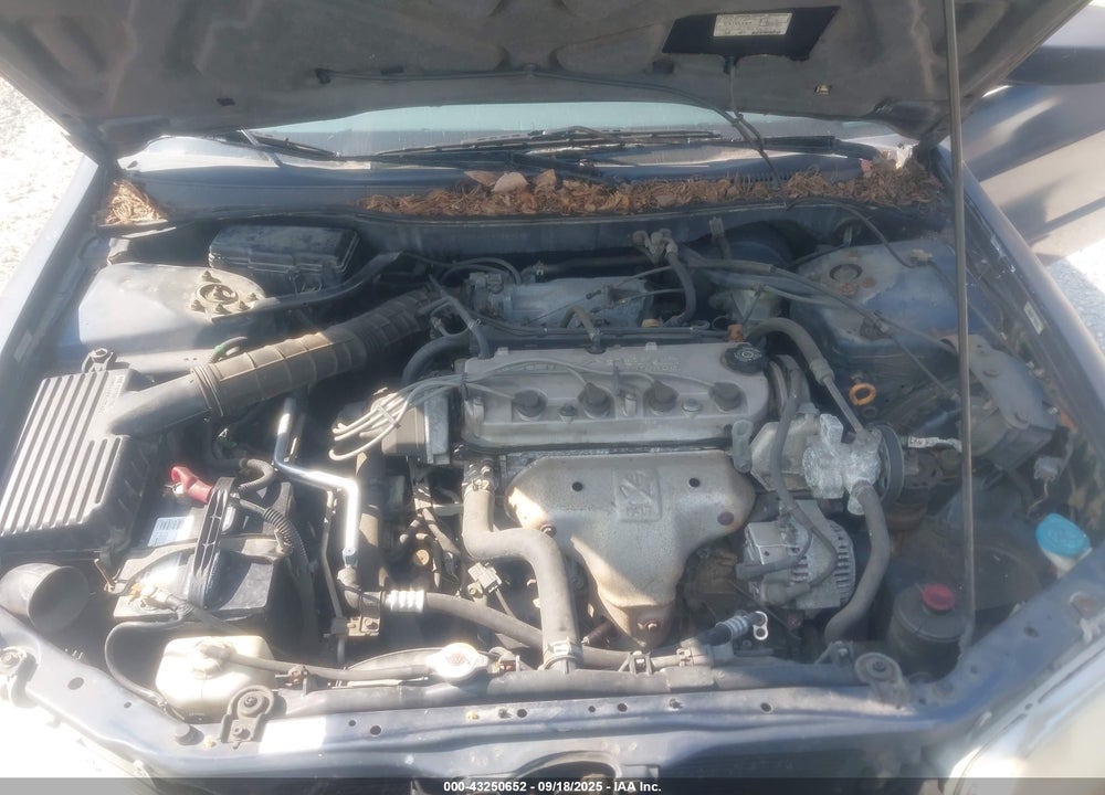 2000 HONDA ACCORD 2.3 LX VIN: 1HGCG5649YA135940
