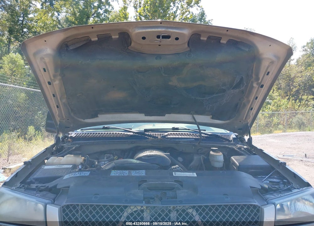 2003 CHEVROLET SILVERADO 1500HD VIN: 1GCGK13U13F120419