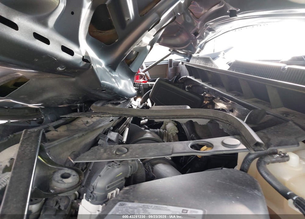 2019 CHEVROLET SILVERADO 1500 VIN: 1GCPYBEH1KZ221106