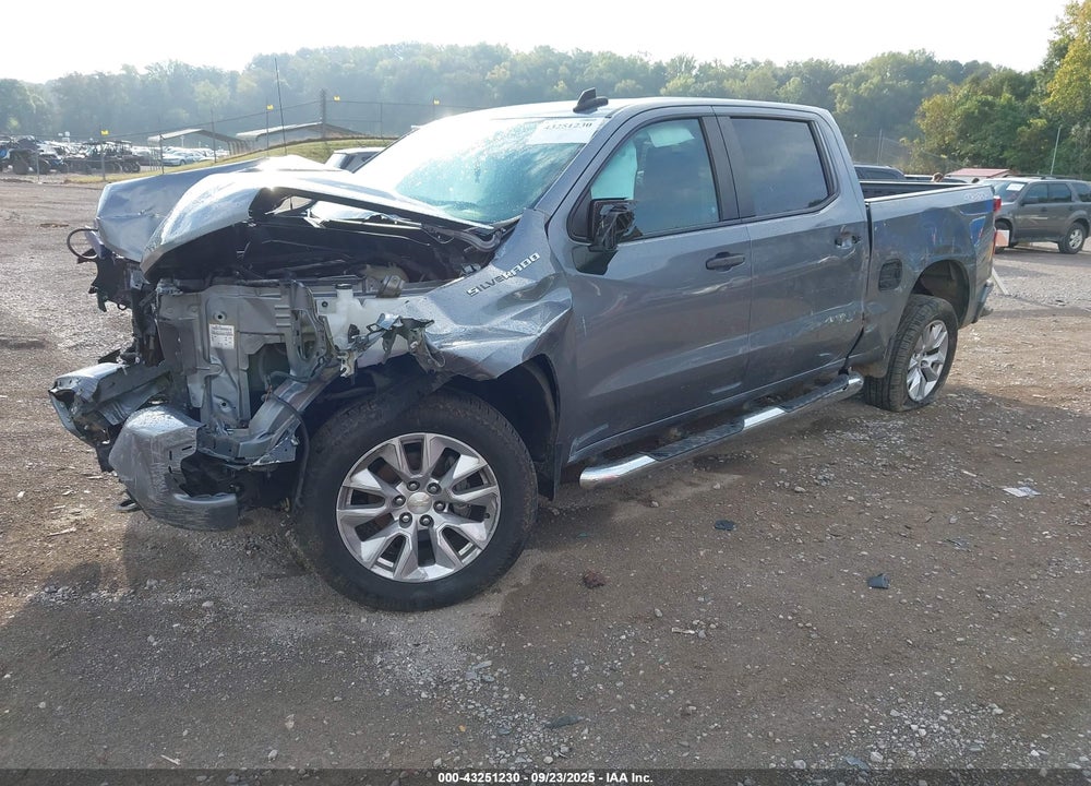 2019 CHEVROLET SILVERADO 1500 VIN: 1GCPYBEH1KZ221106