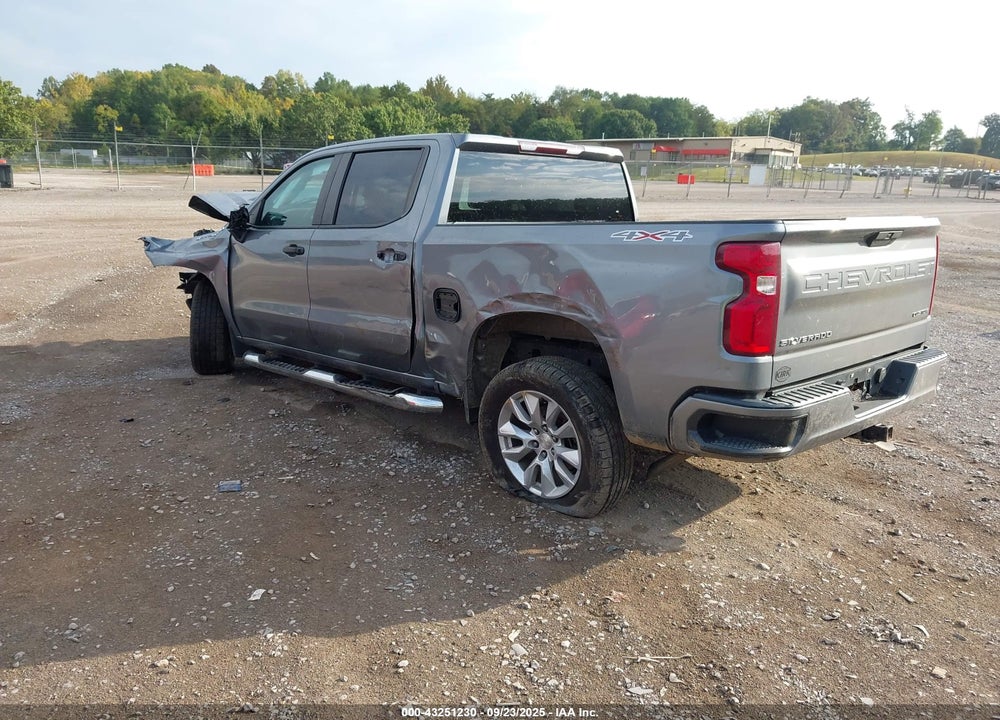 2019 CHEVROLET SILVERADO 1500 VIN: 1GCPYBEH1KZ221106