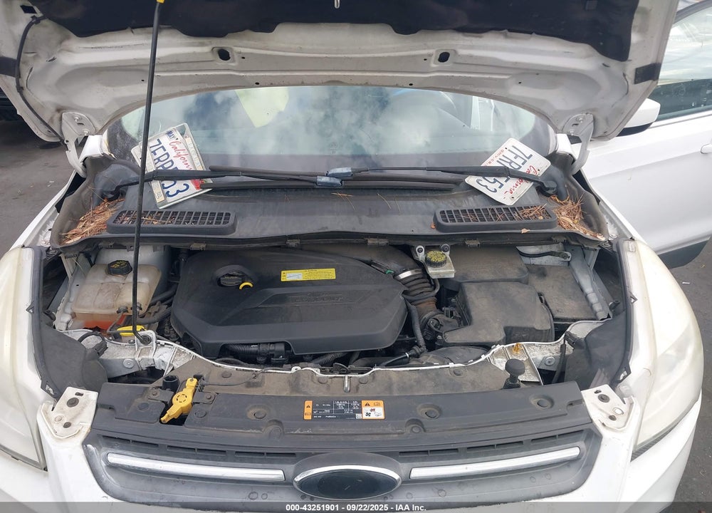 2014 FORD ESCAPE VIN: 1FMCU0GX3EUD17643