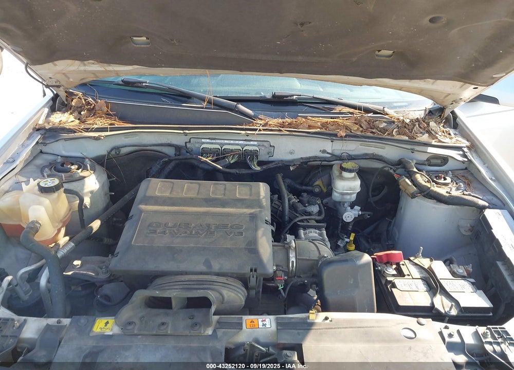 2011 FORD ESCAPE LIMITED VIN: 1FMCU9EG3BKA96429