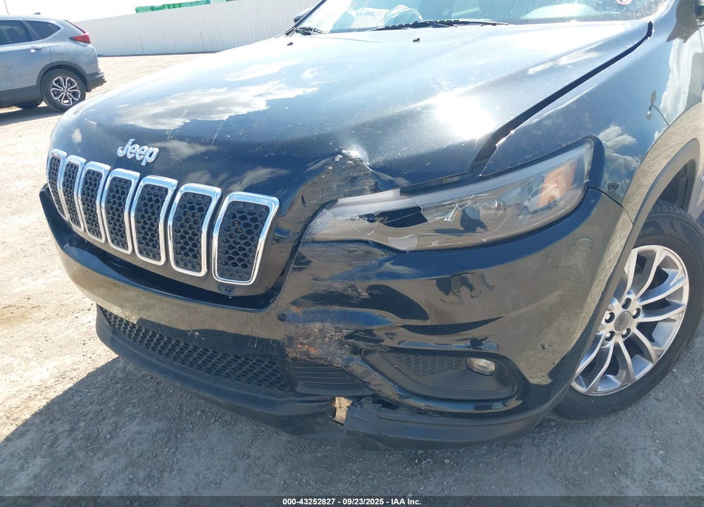 2019 JEEP CHEROKEE VIN: 1C4PJLLB0KD176486