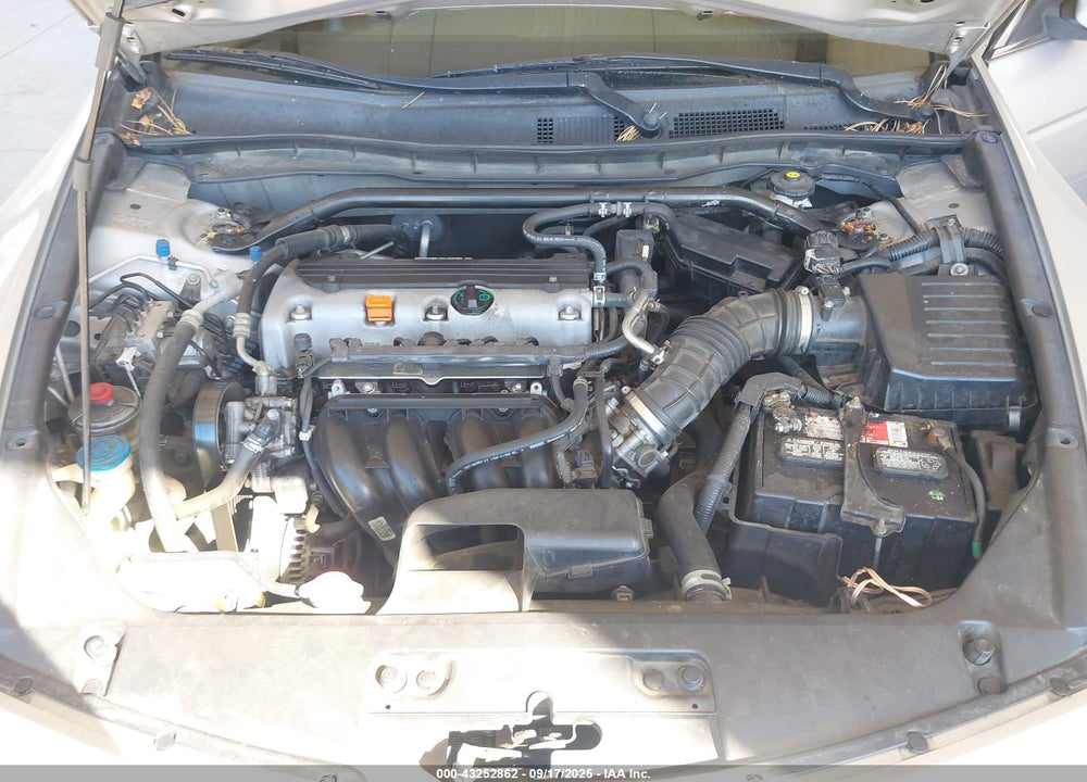 2010 HONDA ACCORD VIN: 1HGCS1B80AA012730