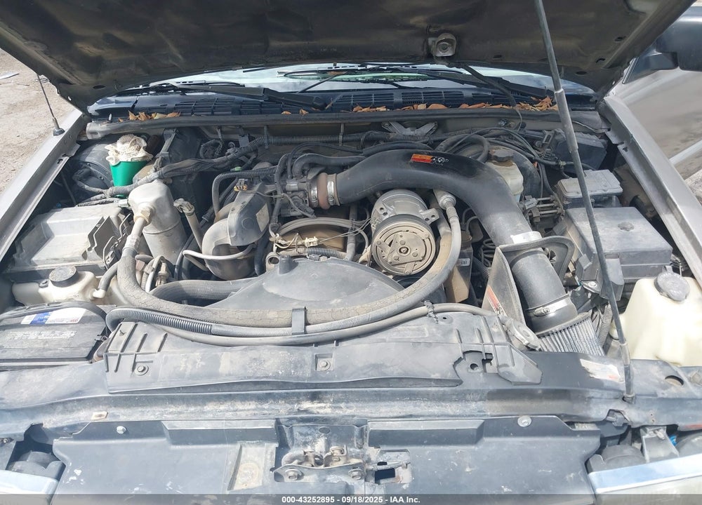 2000 CHEVROLET S-10 LS VIN: 1GCCS1950Y8299563