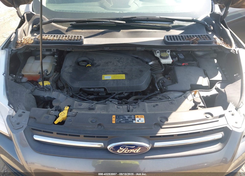 2014 FORD ESCAPE VIN: 1FMCU0GX7EUA82163