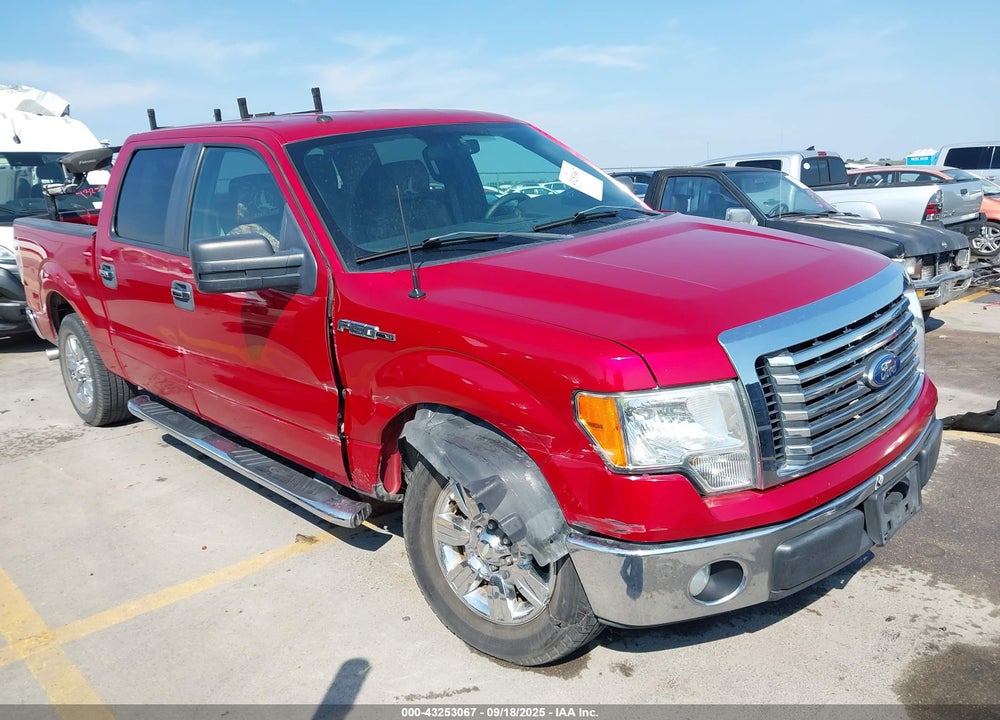 2011 FORD F-150 XLT VIN: 1FTFW1CF6BFC38630