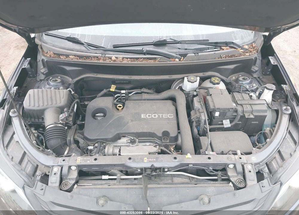 2019 CHEVROLET EQUINOX VIN: 3GNAXHEV3KL303158