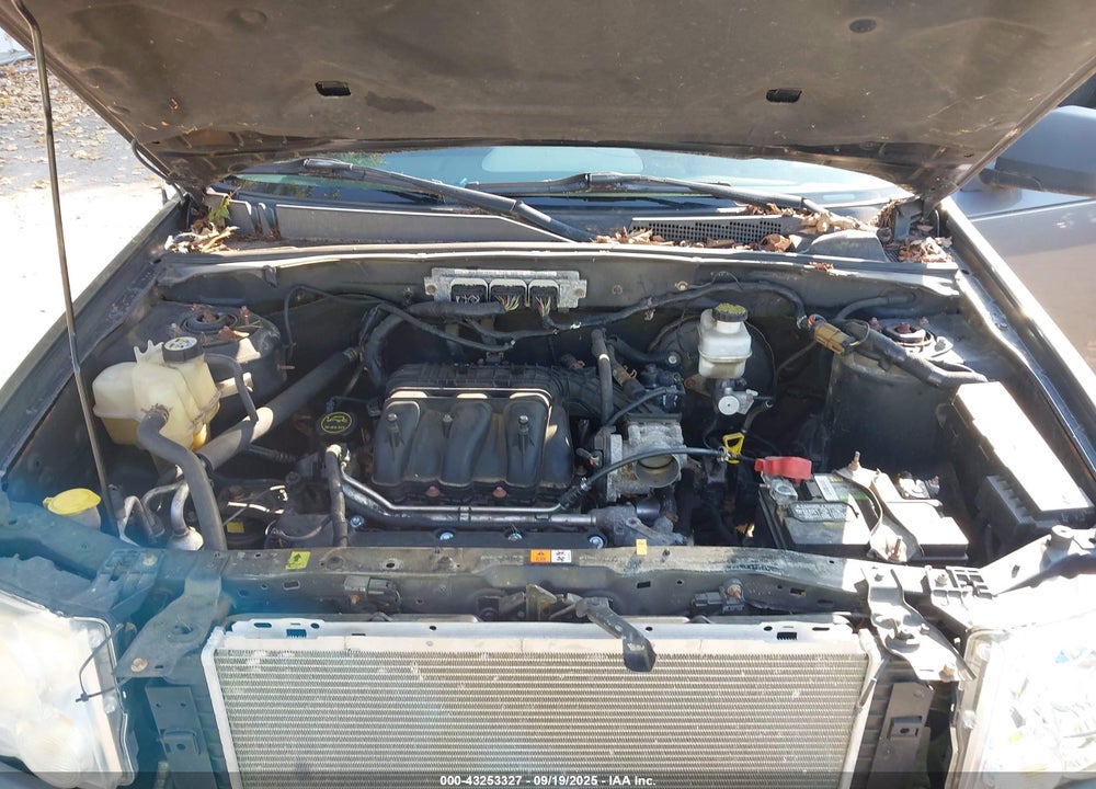 2010 FORD ESCAPE XLT VIN: 1FMCU0DG3AKA44018