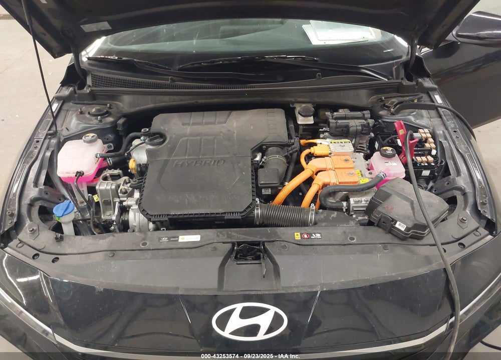 2024 HYUNDAI ELANTRA HYBRID LIMITED VIN: KMHLN4DJ7RU114121