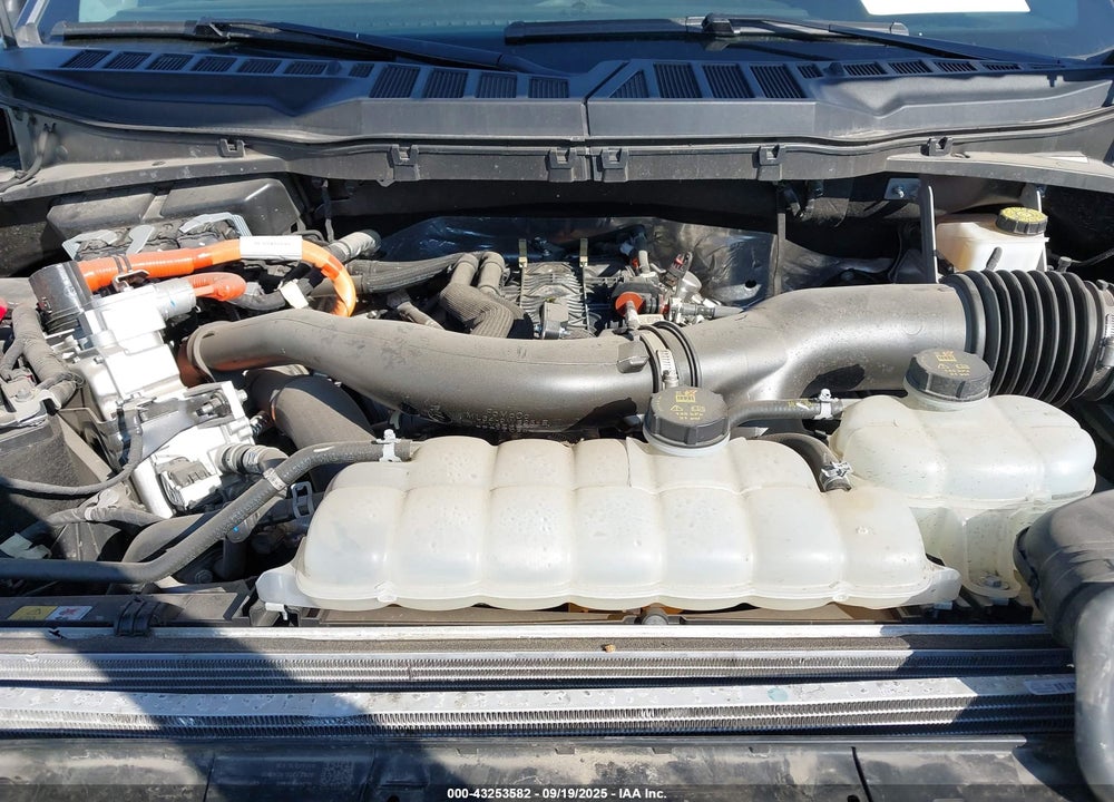 2024 FORD F-150 VIN: 1FTFW3LD6RFA55085