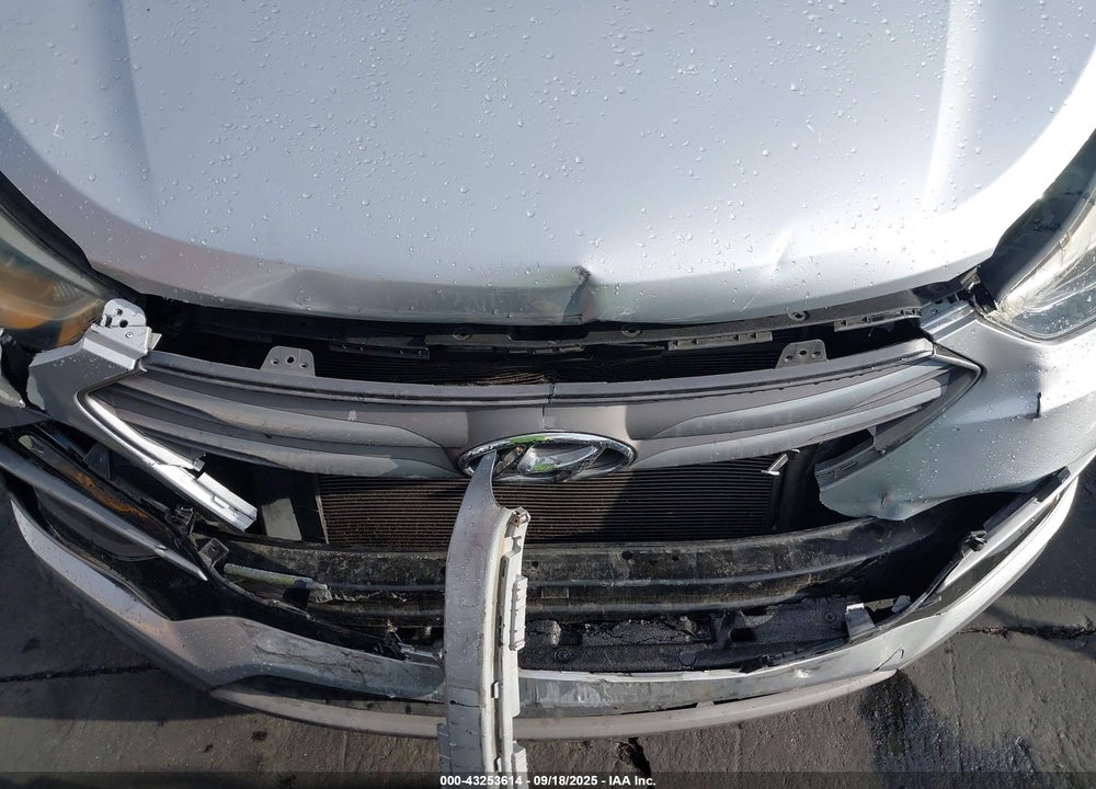 2017 HYUNDAI SANTA FE SPORT VIN: 5XYZT3LB5HG495301