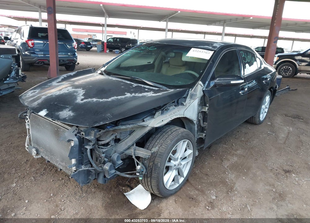 2010 NISSAN MAXIMA VIN: 1N4AA5AP4AC847443