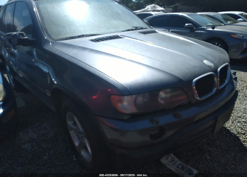 2003 BMW X5 3.0I VIN: 5UXFA53543LW23375