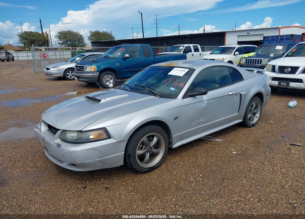 2003 FORD MUSTANG GT VIN: 1FAFP42X33F376772