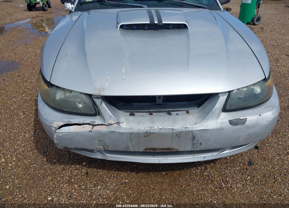 2003 FORD MUSTANG GT VIN: 1FAFP42X33F376772