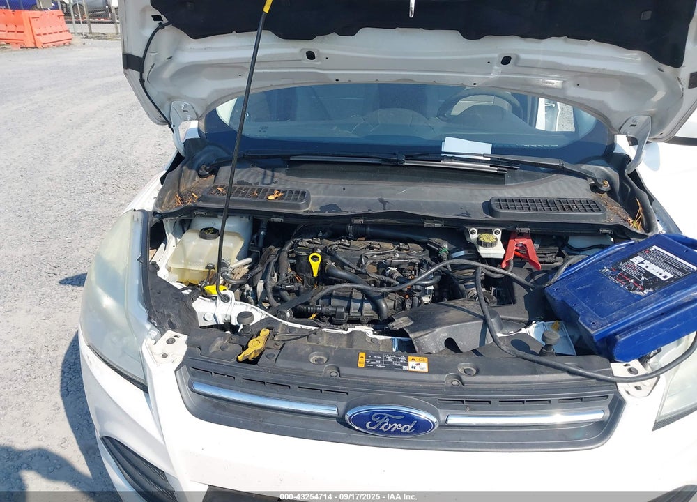 2014 FORD ESCAPE SE VIN: 1FMCU0GXXEUD14934