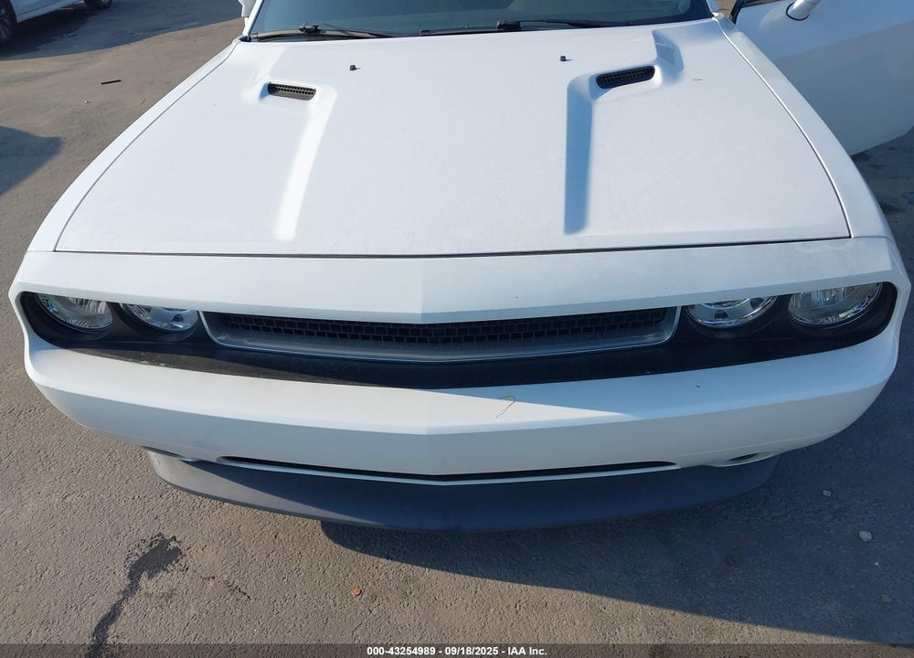 2014 DODGE CHALLENGER VIN: 2C3CDYAG6EH208354