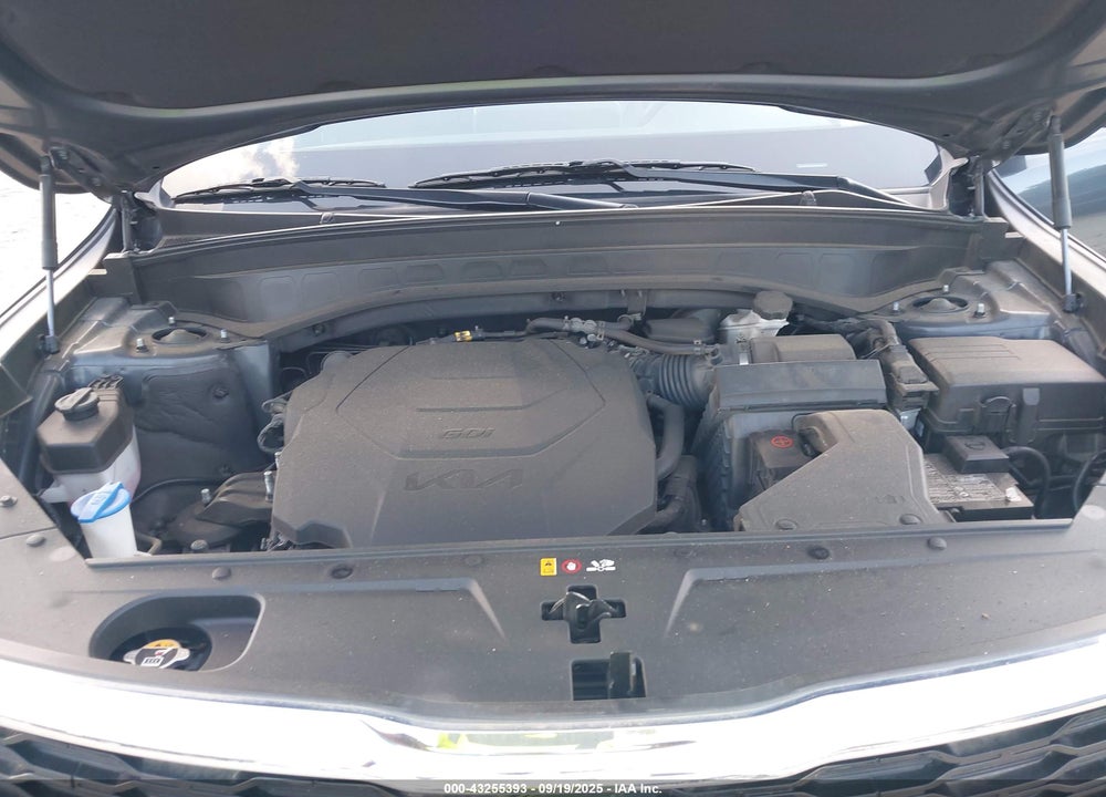2022 KIA TELLURIDE VIN: 5XYP2DHCXNG249499