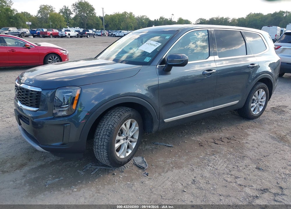 2022 KIA TELLURIDE VIN: 5XYP2DHCXNG249499