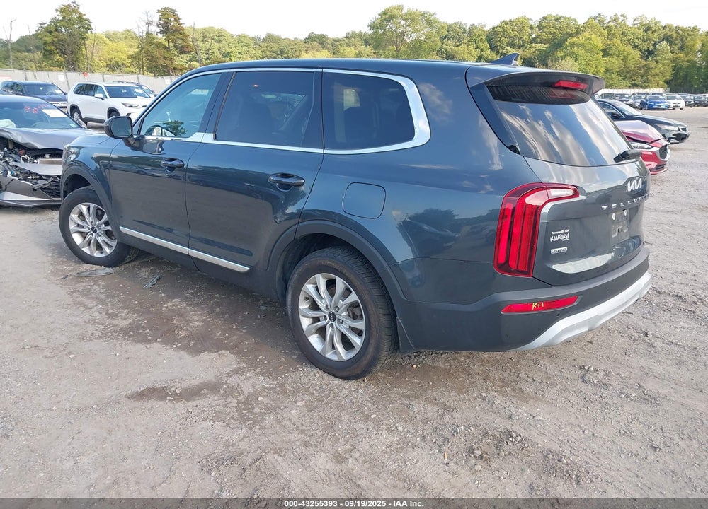 2022 KIA TELLURIDE VIN: 5XYP2DHCXNG249499