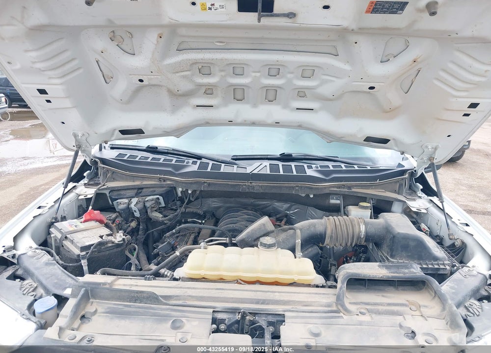 2021 FORD F-150 VIN: 1FTFW1E56MKE56288