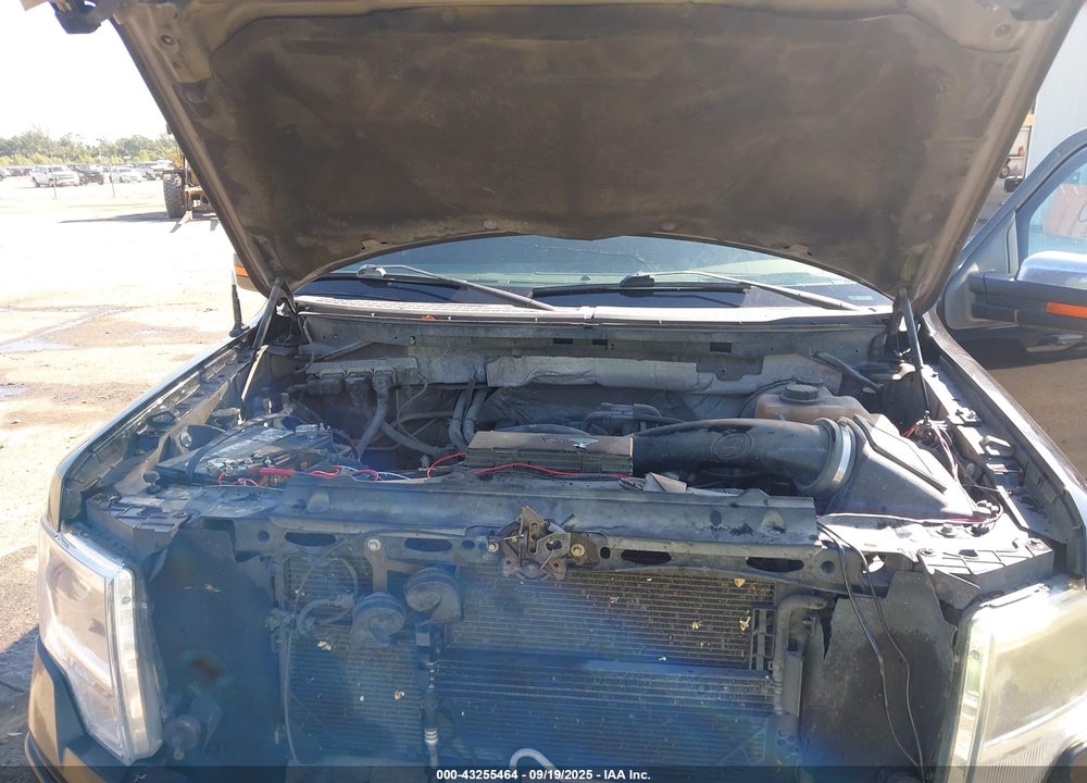2013 FORD F-150 VIN: 1FTFW1CF3DFA38002