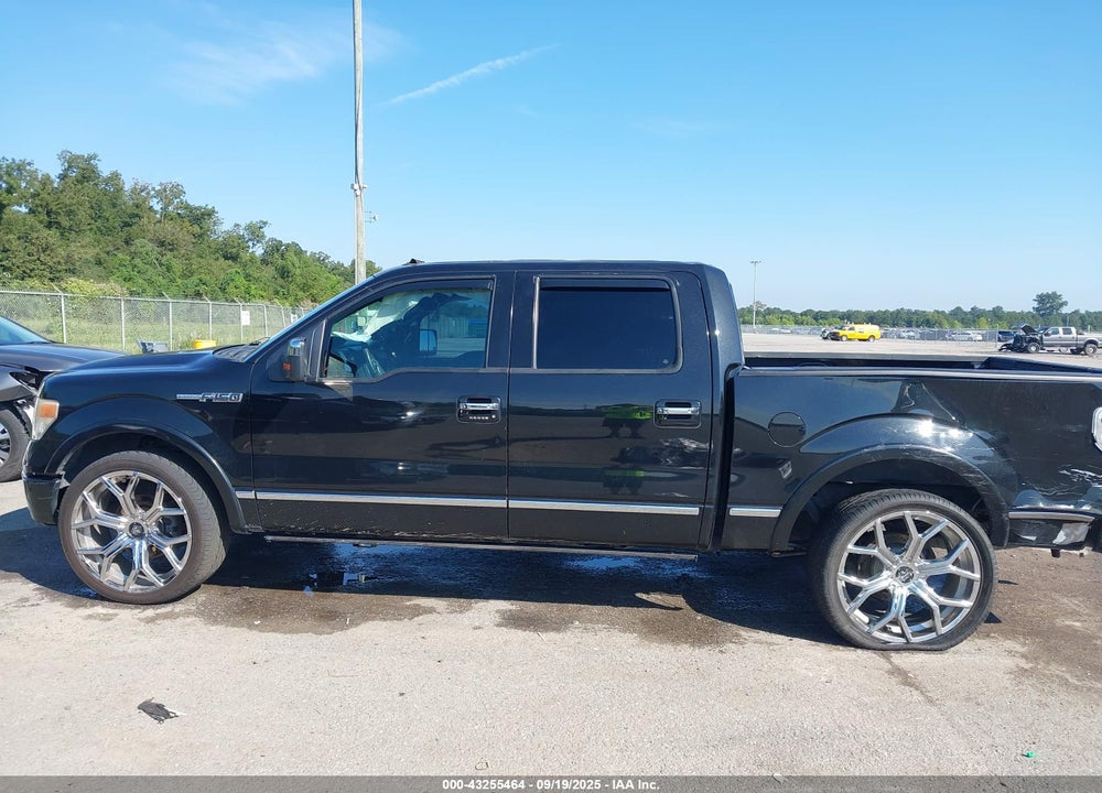 2013 FORD F-150 VIN: 1FTFW1CF3DFA38002