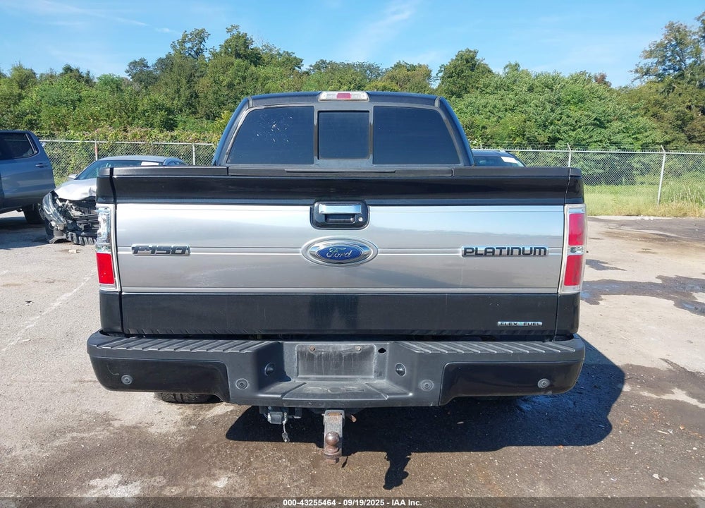 2013 FORD F-150 VIN: 1FTFW1CF3DFA38002