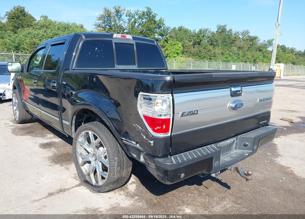 2013 FORD F-150 VIN: 1FTFW1CF3DFA38002