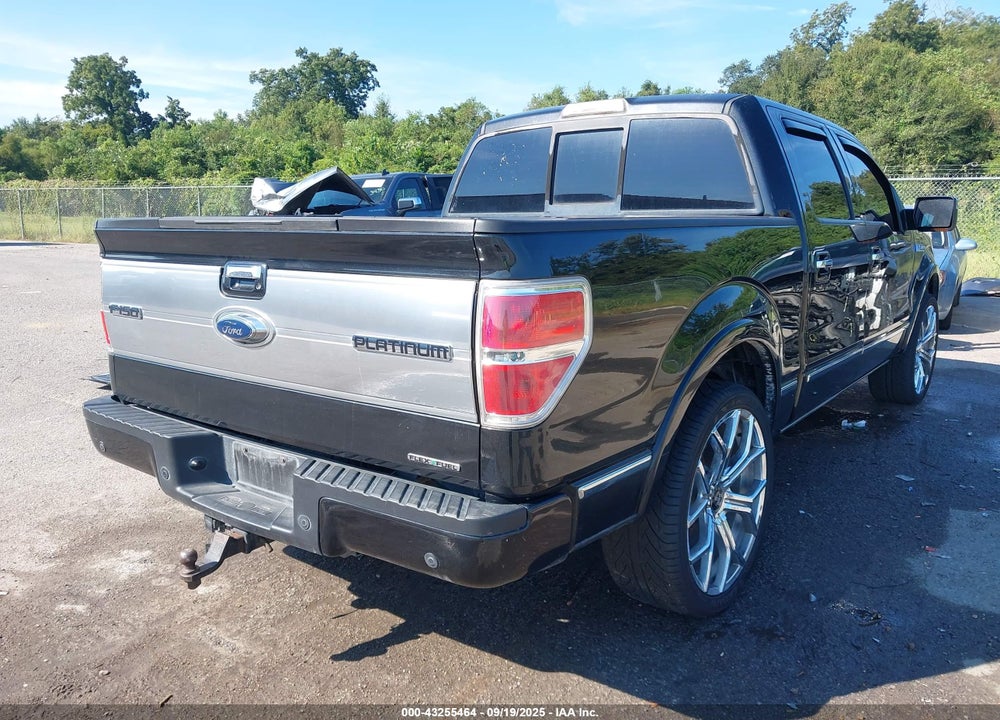 2013 FORD F-150 VIN: 1FTFW1CF3DFA38002