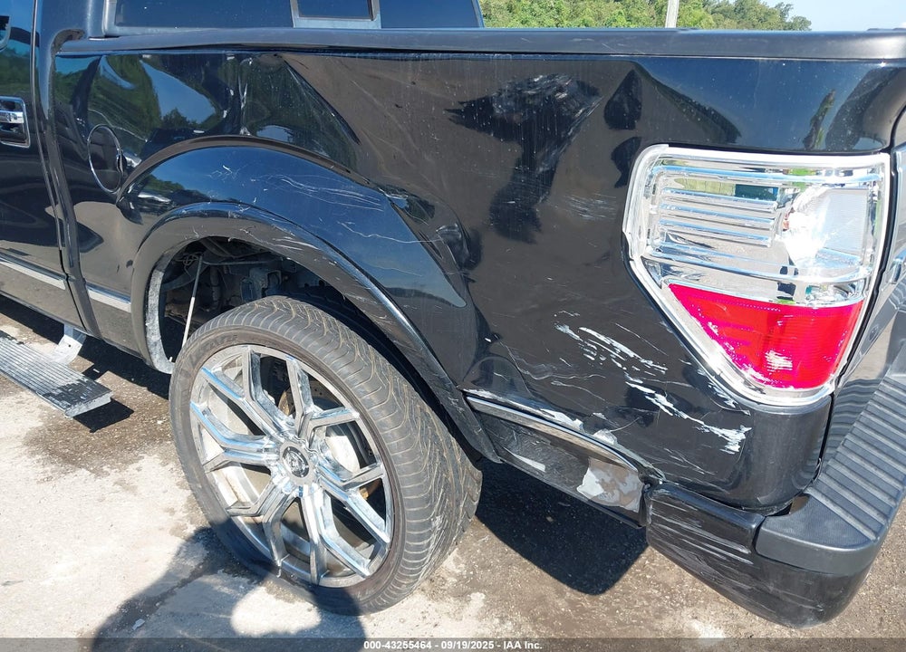 2013 FORD F-150 VIN: 1FTFW1CF3DFA38002