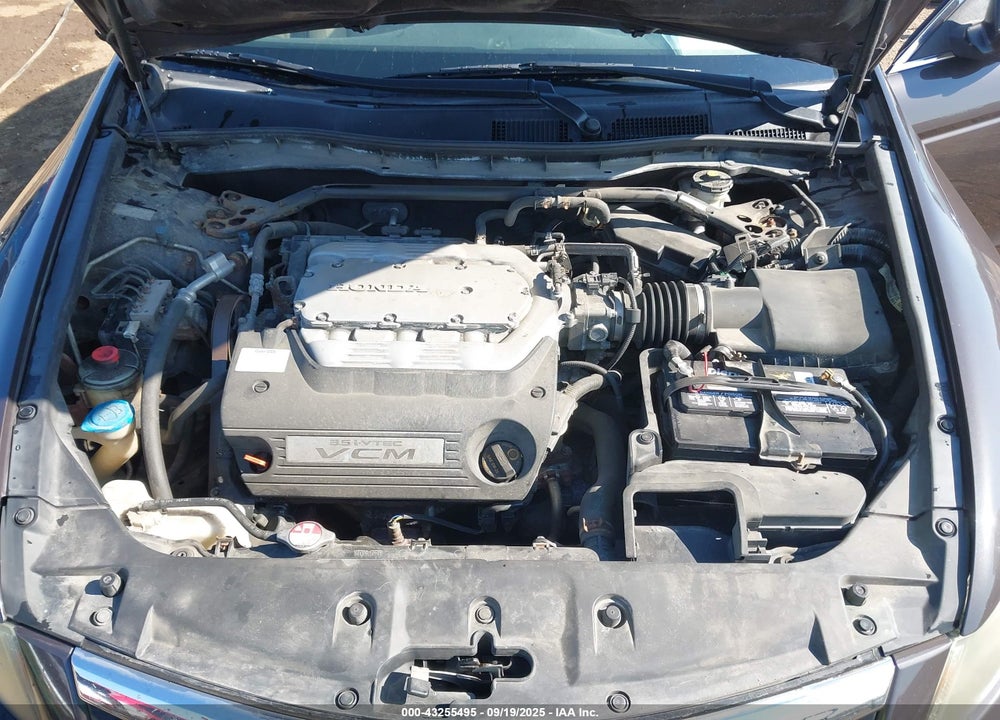 2011 HONDA ACCORD VIN: 1HGCP3F87BA004911