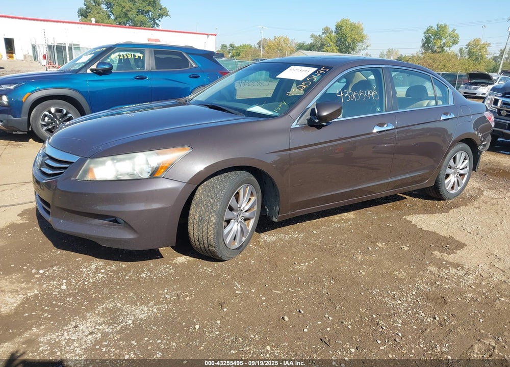 2011 HONDA ACCORD VIN: 1HGCP3F87BA004911