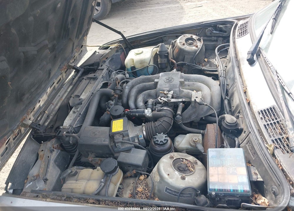 1988 BMW 325 VIN: WBAAE5404J8813659