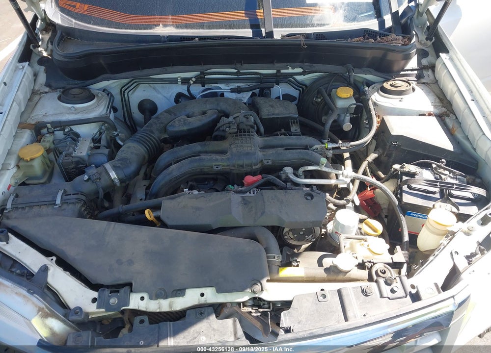 2011 SUBARU FORESTER VIN: JF2SHAFC7BH717834