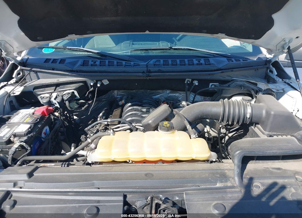 2018 FORD F-150 VIN: 1FTEW1E52JFA64781