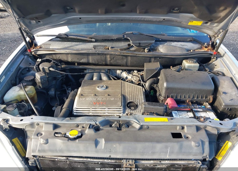 2003 LEXUS RX 300 VIN: JTJHF10U830294338