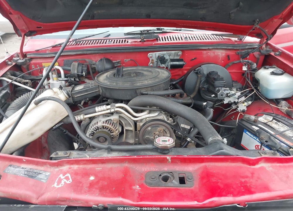 1995 DODGE DAKOTA VIN: 1B7GG23X9SS104721